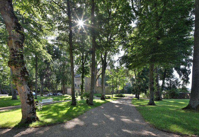 Schlossparkführung: Auf den Spuren von Geschichte und Gartenkunst