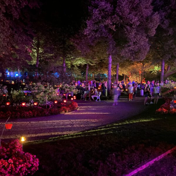 Eindrucksvolles Farbenspiel im Kurpark