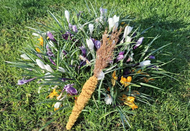 Rund ums Osterei – Ostern in den Museen Schloss Aschach