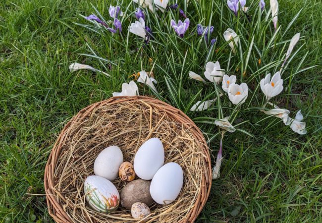 Doppelter Osterspaß in den Museen Schloss Aschach