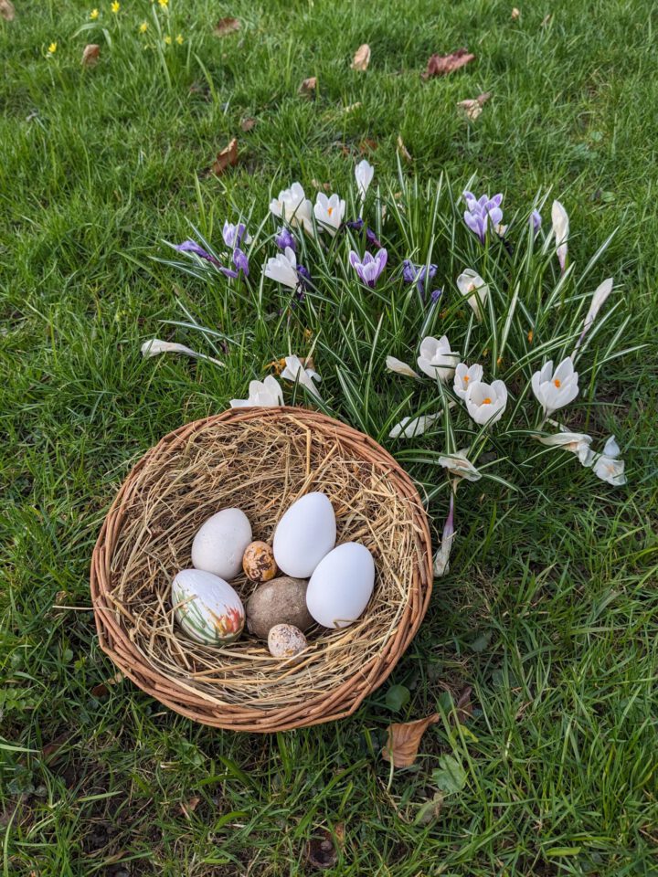 Doppelter Osterspaß in den Museen Schloss Aschach