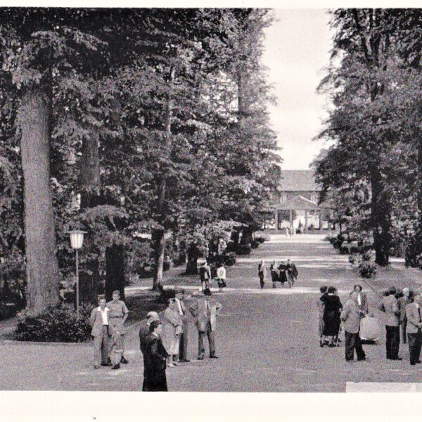 Der Kurgarten mit Blick auf den Brunnenbau