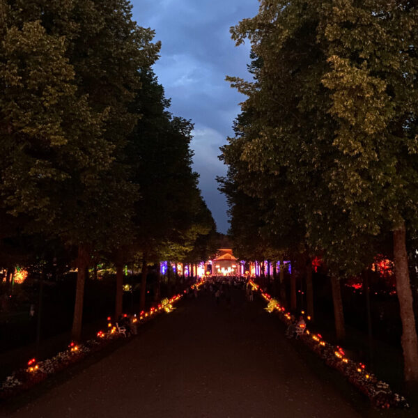 Ein Blick von oben auf den beleuchteten Kurpark
