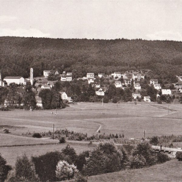 Ortsansicht aus der Ferne