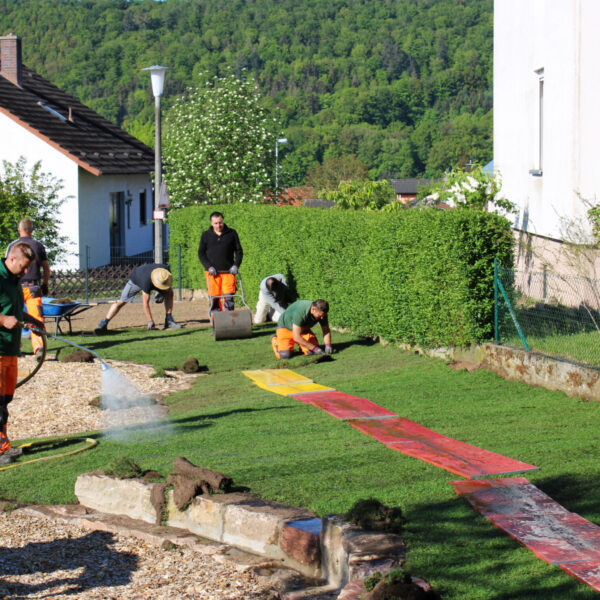 Der Rollrasen muss mindestens 4 Wochen anwachsen bevor er betreten werden darf.