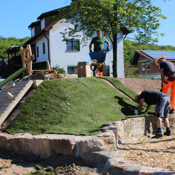 Am Hang werden Holzpfähle verwendet um den Rollrasen zu fixieren.