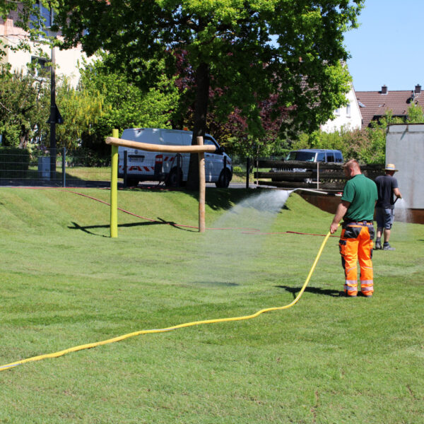 Jetzt muss der Rasen gut gewässert werden.