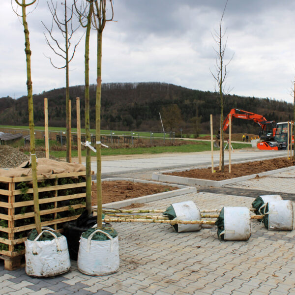 08.04.2021: Im Außenbereich werden die Bäume gepflanzt.