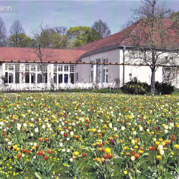 Die Wandelhalle mit Tulpenmeer