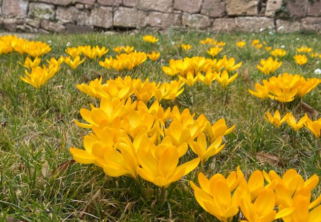 10Tage10Bilder-Challenge