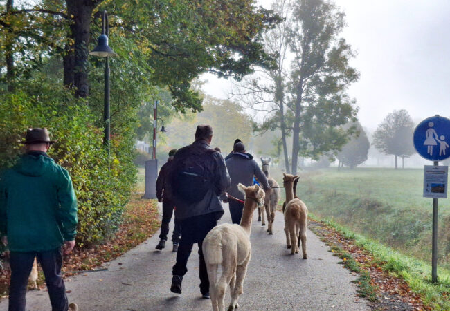 Prävention in ganzer Bandbreite präsentiert