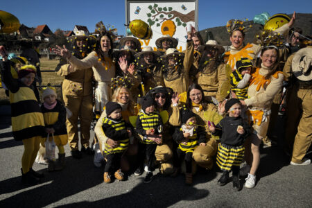 „Stänicher“ Faschingsumzug