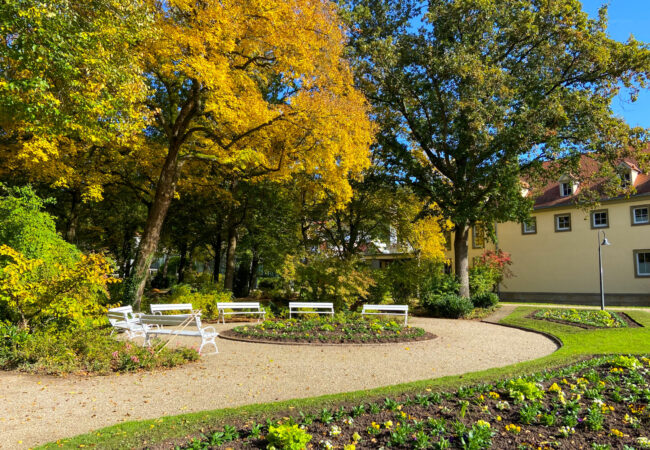 Herbstblumen im Kurpark Bad Bocklet: Farbenfrohe Vielfalt für die kalte Jahreszeit