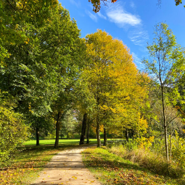 Die Wege entlang der Fränkischen Saale laden zum Spazierengehen ein