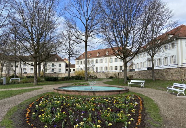 Der Frühling erwacht im Kurpark Bad Bocklet!