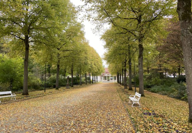 Herbstzauber in unserem Kurpark!