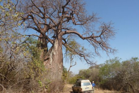 Togo und Ghana &#8211; geheimnisvolles Schwarzafrika