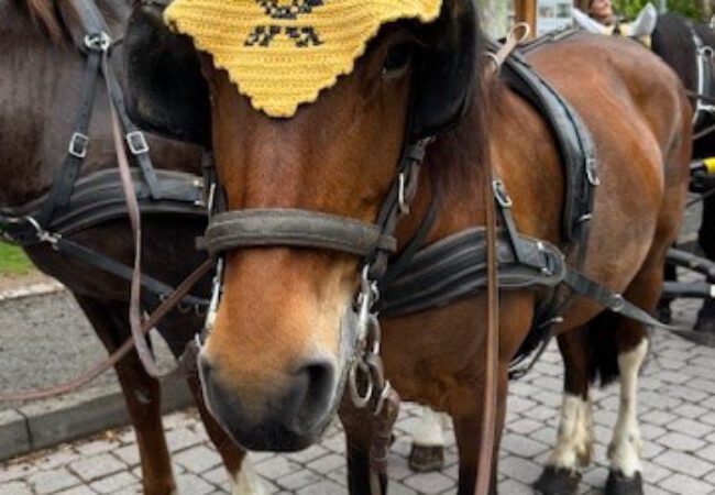 Eröffnungsfahrt der Postkutsche mit besonderen Ehrengästen