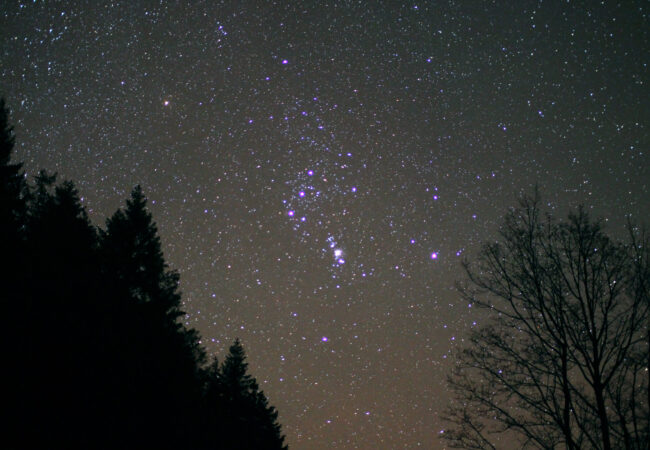 Warum ganz Deutschland auf die Rhön blickt – und was nachts in der Tier- und Pflanzenwelt los ist