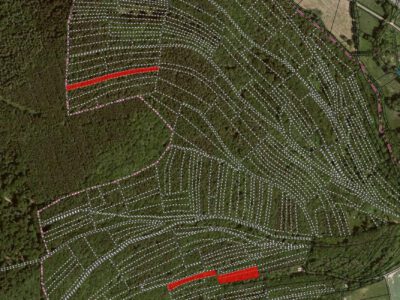 Waldgrundstücke zu verkaufen