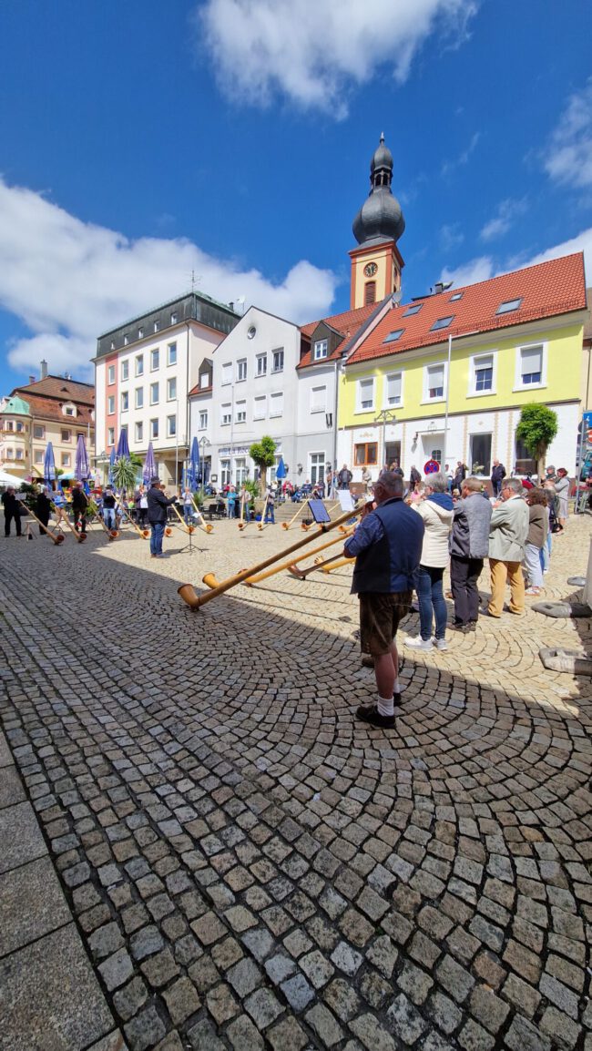 Alphornkonzert Foto