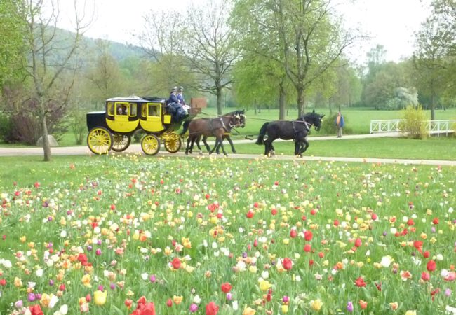 Die Postkutsche fährt bald wieder
