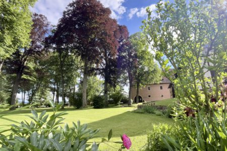 Fliegende Freunde auf Schloss Aschach