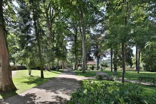 Öffentliche Führung durch den Schlosspark Foto