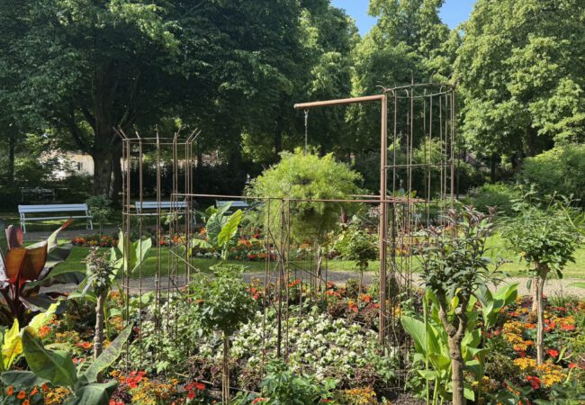 Farbenrausch und Pflanzenvielfalt: Der Kurpark Bad Bocklet zeigt sich in voller Sommerpracht