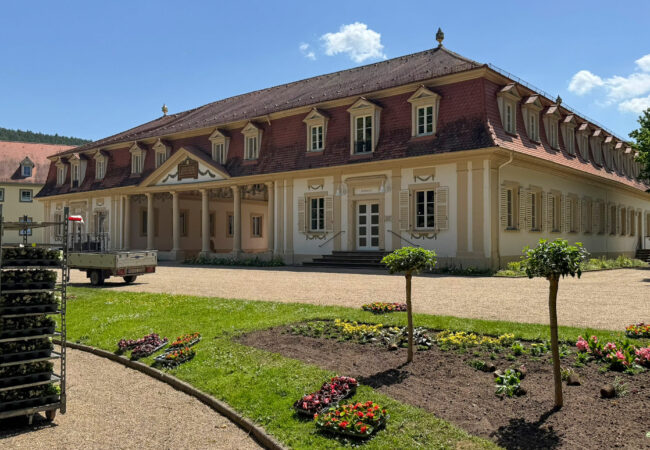 Sommerbepflanzung bringt wieder Farbe in den Kurpark Bad Bocklet