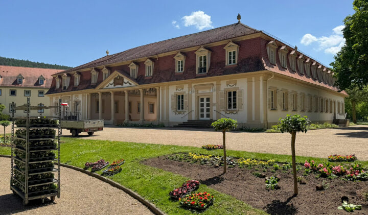 Sommerbepflanzung bringt wieder Farbe in den Kurpark Bad Bocklet