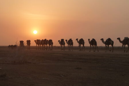 Äthiopien und Sudan &#8211; Afrika auf seine spannendste Art