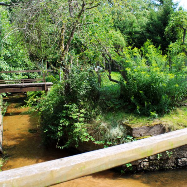 kleiner Bach an der alten Mühle in Steinach