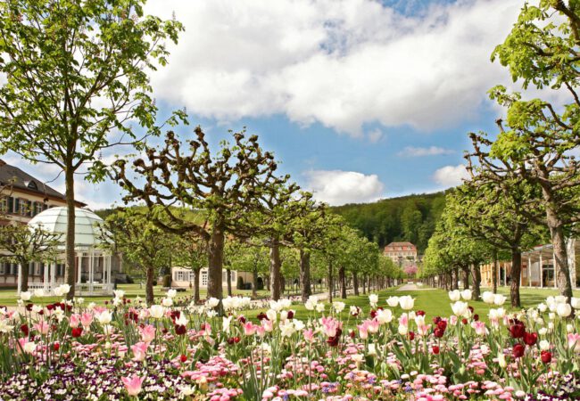 Gesund das neue Jahr genießen