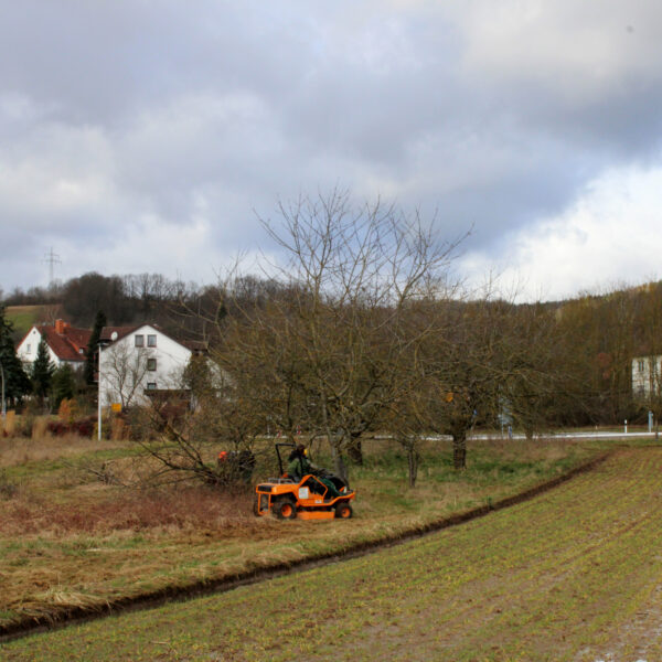 18.02.2020: Beginn der Baumfällarbeiten