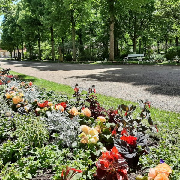 Die Bepflanzung im Mittelgang