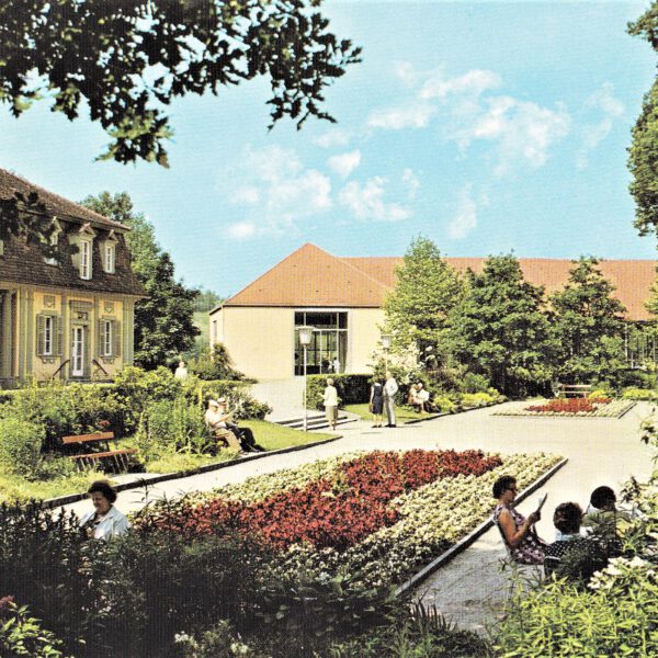 Blütenpracht mit Blick auf die Wandelhalle