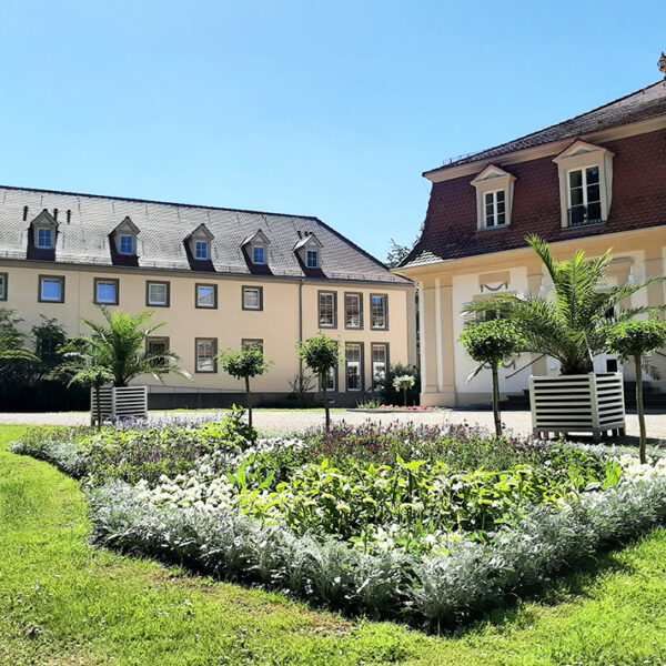 Die Blumenbeete am Brunnenbau