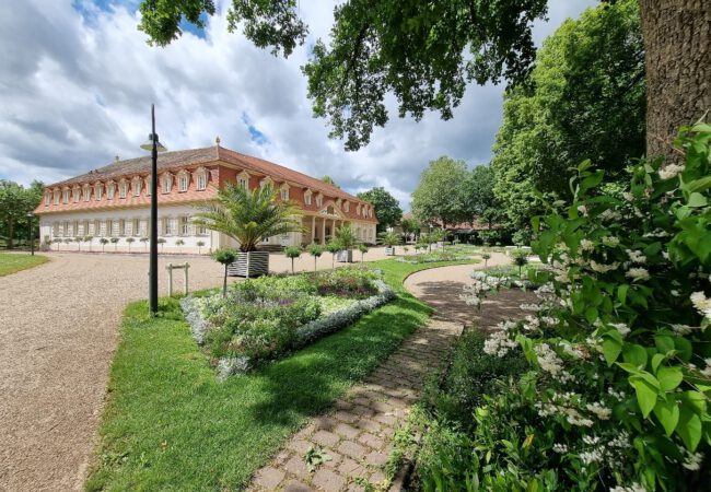 Bunter Gesundheits-Mix für Gruppen