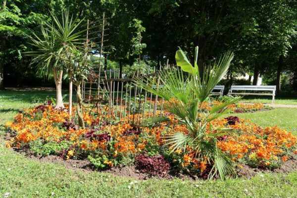 Sommerbepflanzung im Kurgarten - Bad Bocklet
