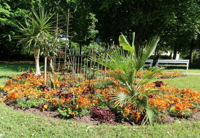 Sommerbepflanzung im Kurgarten