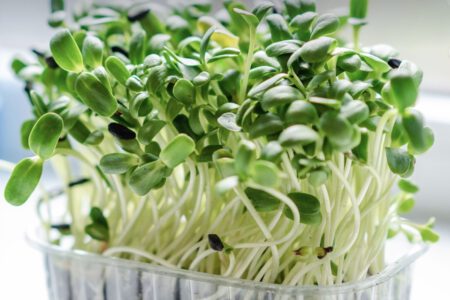 EIN GANZHEITLICHER LEBENSTIL   (251-36074KB)