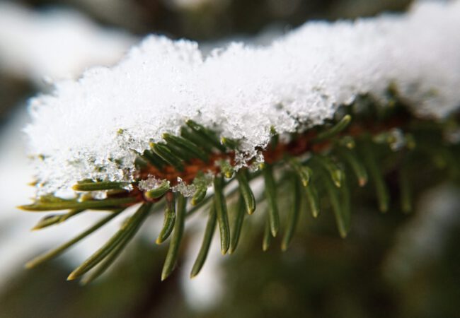 Rezepttipps für zu Hause
