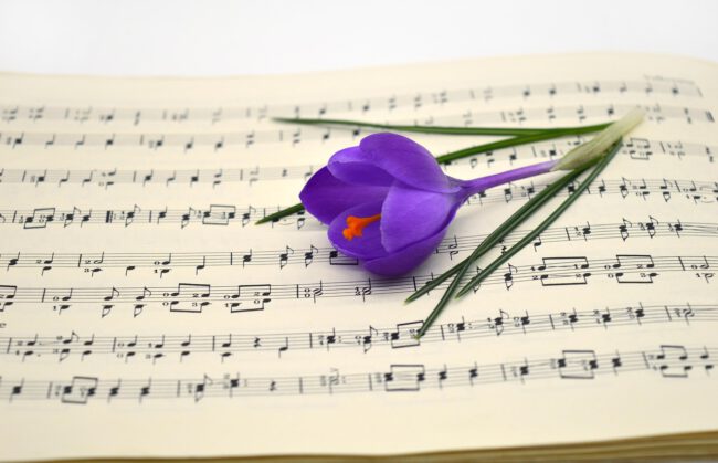 Gruppenchorkonzert Foto