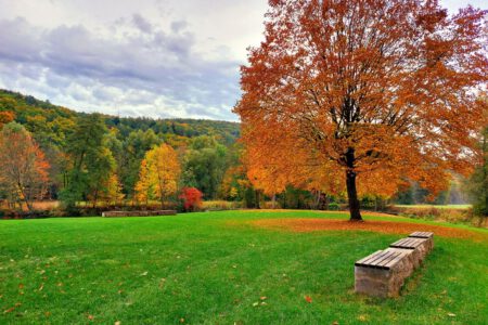 Herbstliche Naturführung