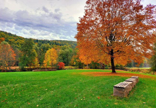 Herbst im Kurpark Bad Bocklet