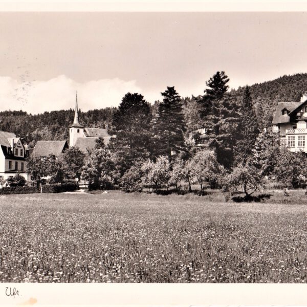 Villa Kunzmann und Pension Trümbach aus der Ferne