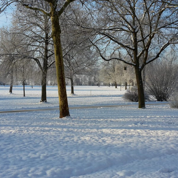 Der Kurpark mit Schnee