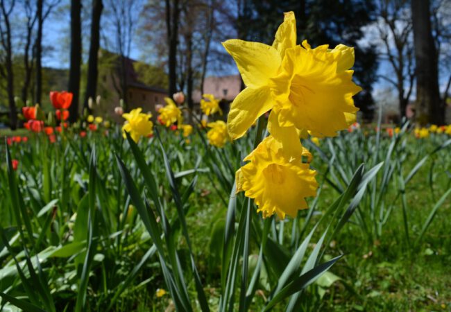 Ostern in den Museen Schloss Aschach