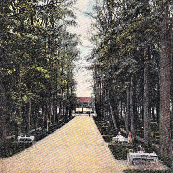 Parkpartie im Kurgarten